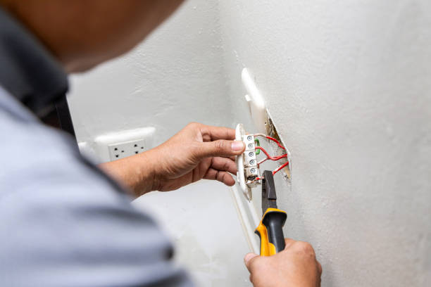 Best Local Electrician Companies  in Houghton Lake, MI